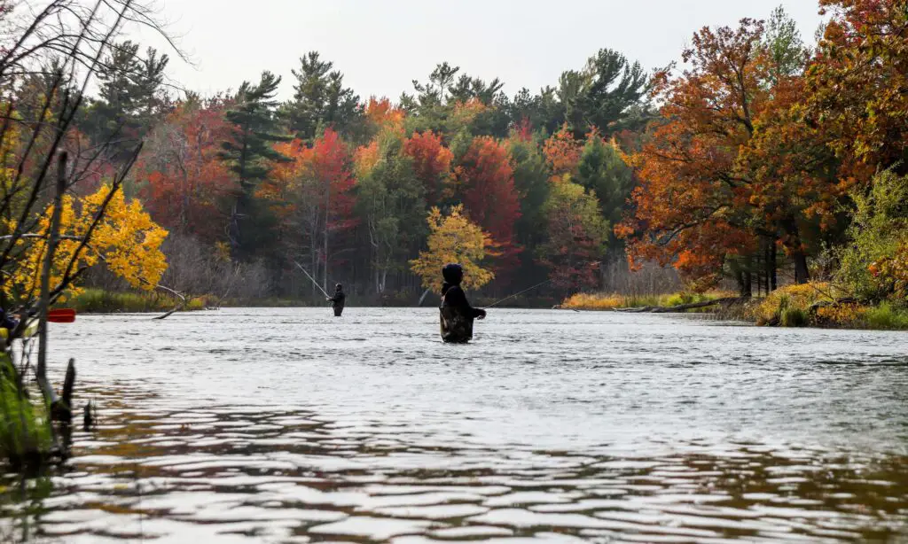 Hidden Gems of Michigan: Your Personal Travel Planner Guide Scenic view of a quiet lake and forest trail in a hidden location in Michigan.