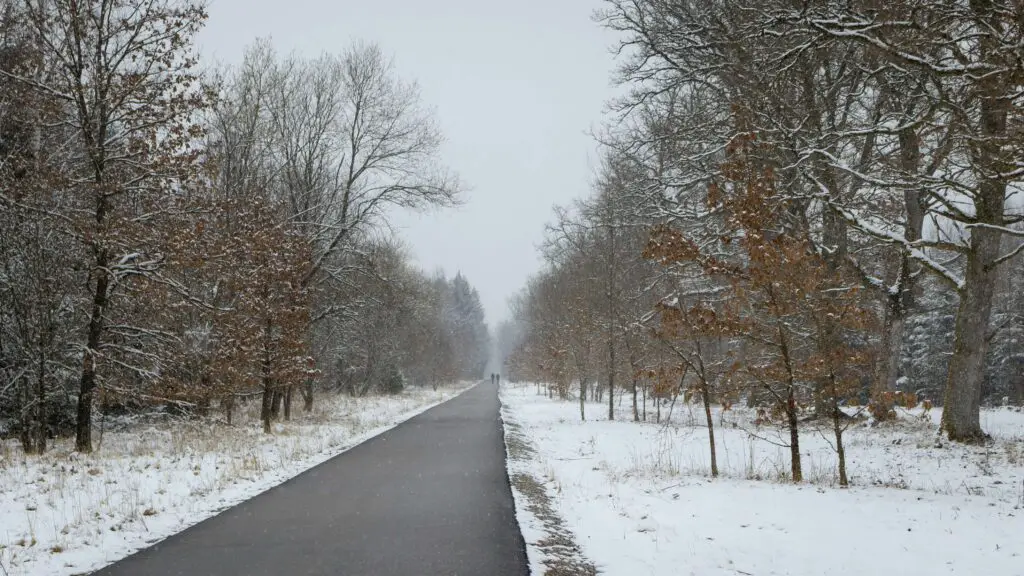 Outdoor Escapades and Local Experiences: Build Your Perfect Springfield, IL Itinerary Snow-covered path in a park surrounded by trees on both sides, offering a peaceful outdoor escape in Springfield, Illinois.