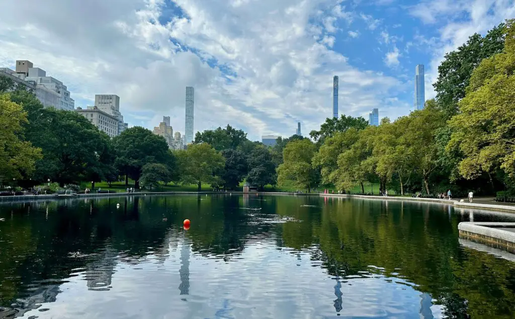 A serene lake surrounded by green grass and trees, offering a peaceful escape within the East Village, NYC.