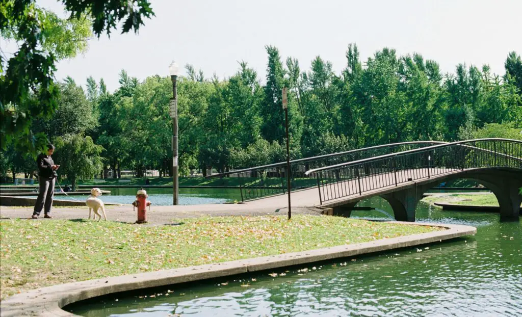 Exploring Unique Local Activities: Things to Do in the Lower East Side A woman walking her dog near a small lake and bridge in a peaceful corner of the Lower East Side, NYC.