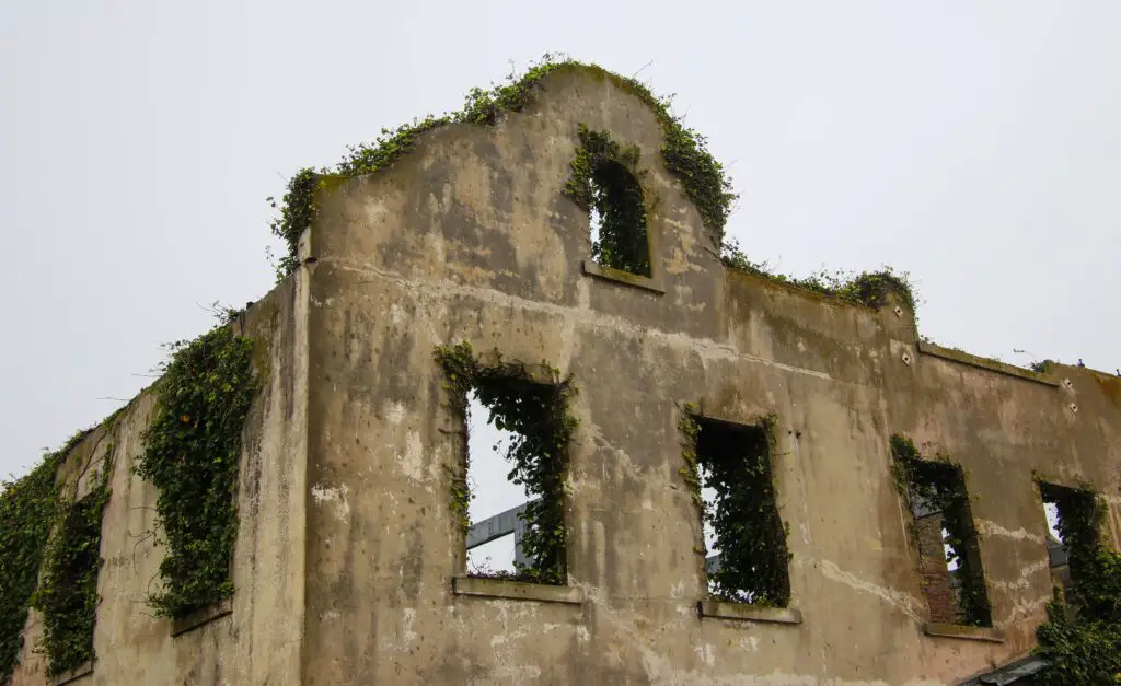 The Historic Smallpox Hospital Ruins: Echoes of the Past on Roosevelt Island View of the historic Smallpox Hospital ruins on Roosevelt Island, with ivy-covered stone walls and a quiet, reflective atmosphere.