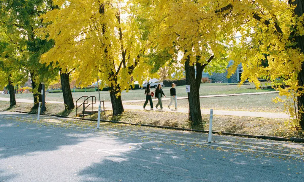 Free Things to Do in SoHo NYC: Explore Without Breaking the Bank Three friends walking together through a park in SoHo, NYC, enjoying a sunny day surrounded by greenery and city charm.