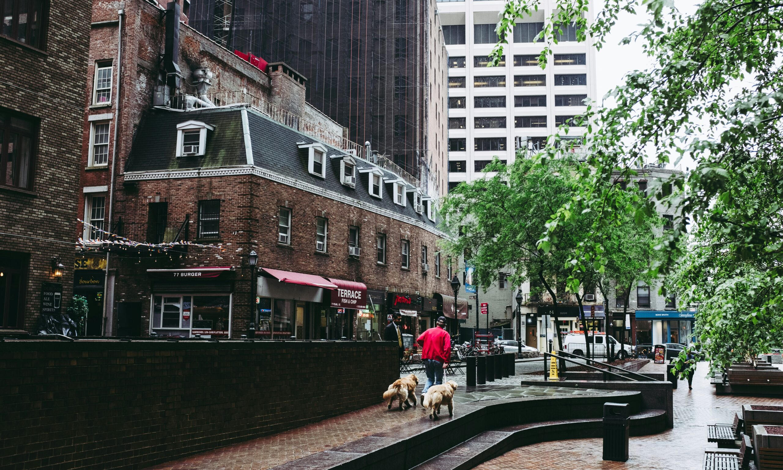 A tree-lined avenue in Fort Greene, Brooklyn, featuring clean sidewalks, greenery, and a peaceful neighborhood atmosphere.
