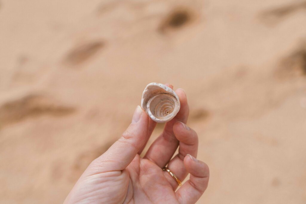 Cozy, Cultural, and Unconventional Finds: Indoor Activities in Brooklyn for Adults A young woman’s hand holding a small jewel discovered in the sand, symbolizing unique and hidden finds.